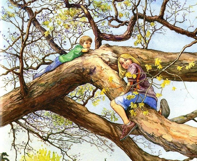 Why Would Anyone Cut Down a Tree